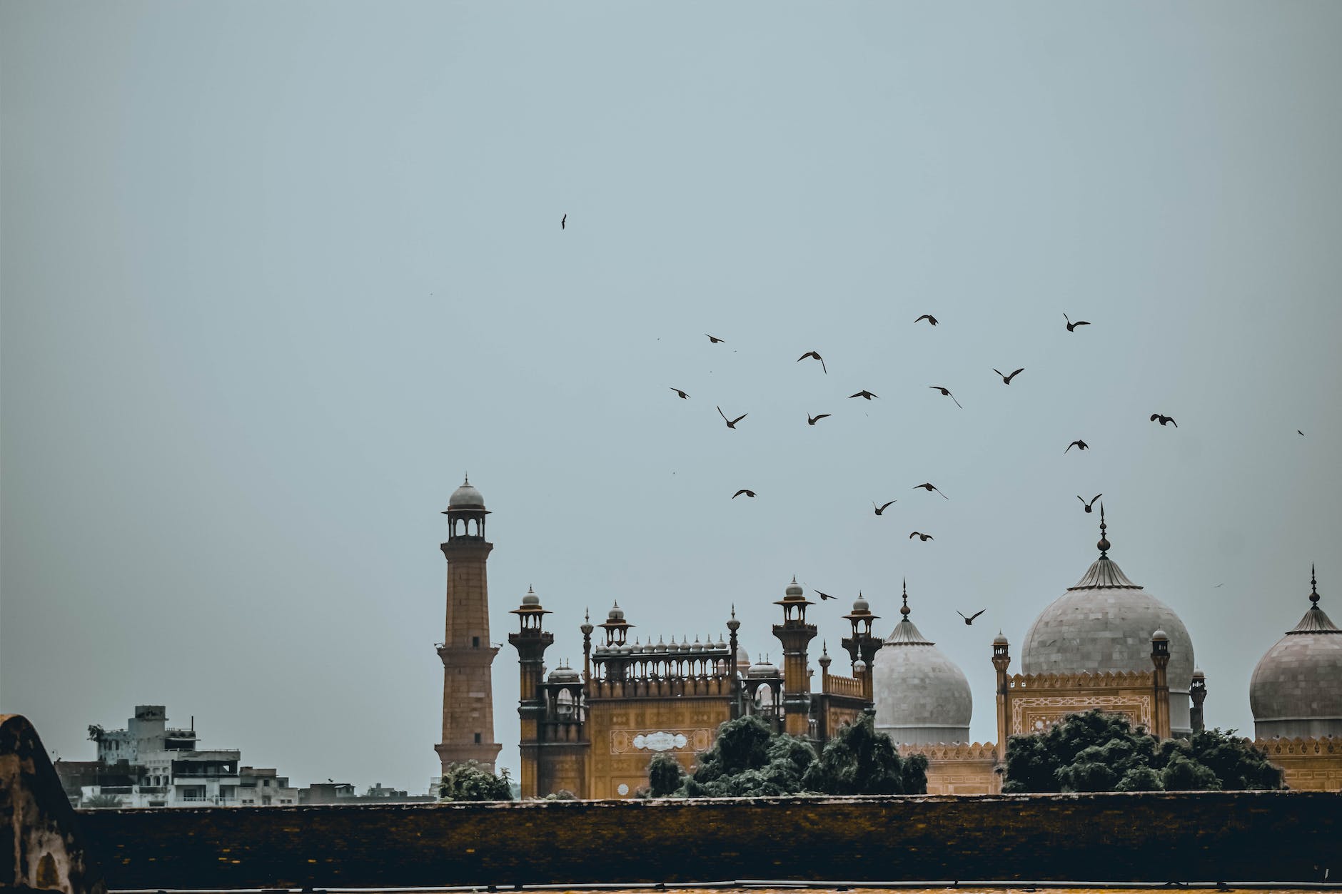 birds flying near badshahi mosque