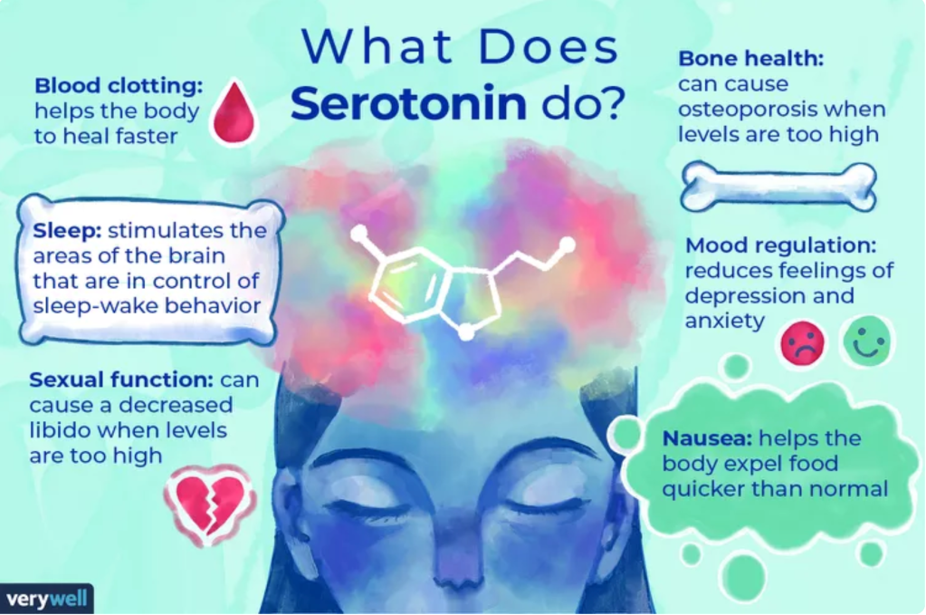Serotonin: What It Is, How to Increase It, and Can You Have Too Much? 