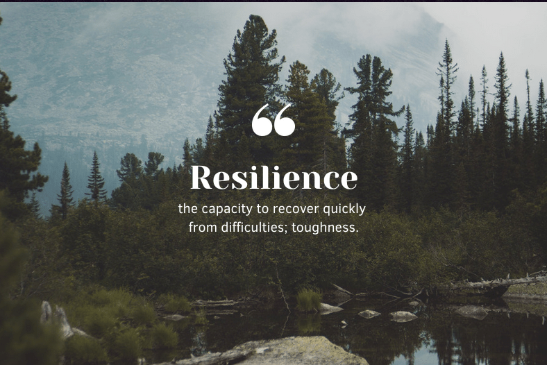 Thriving in the Face of&nbsp;Challenges